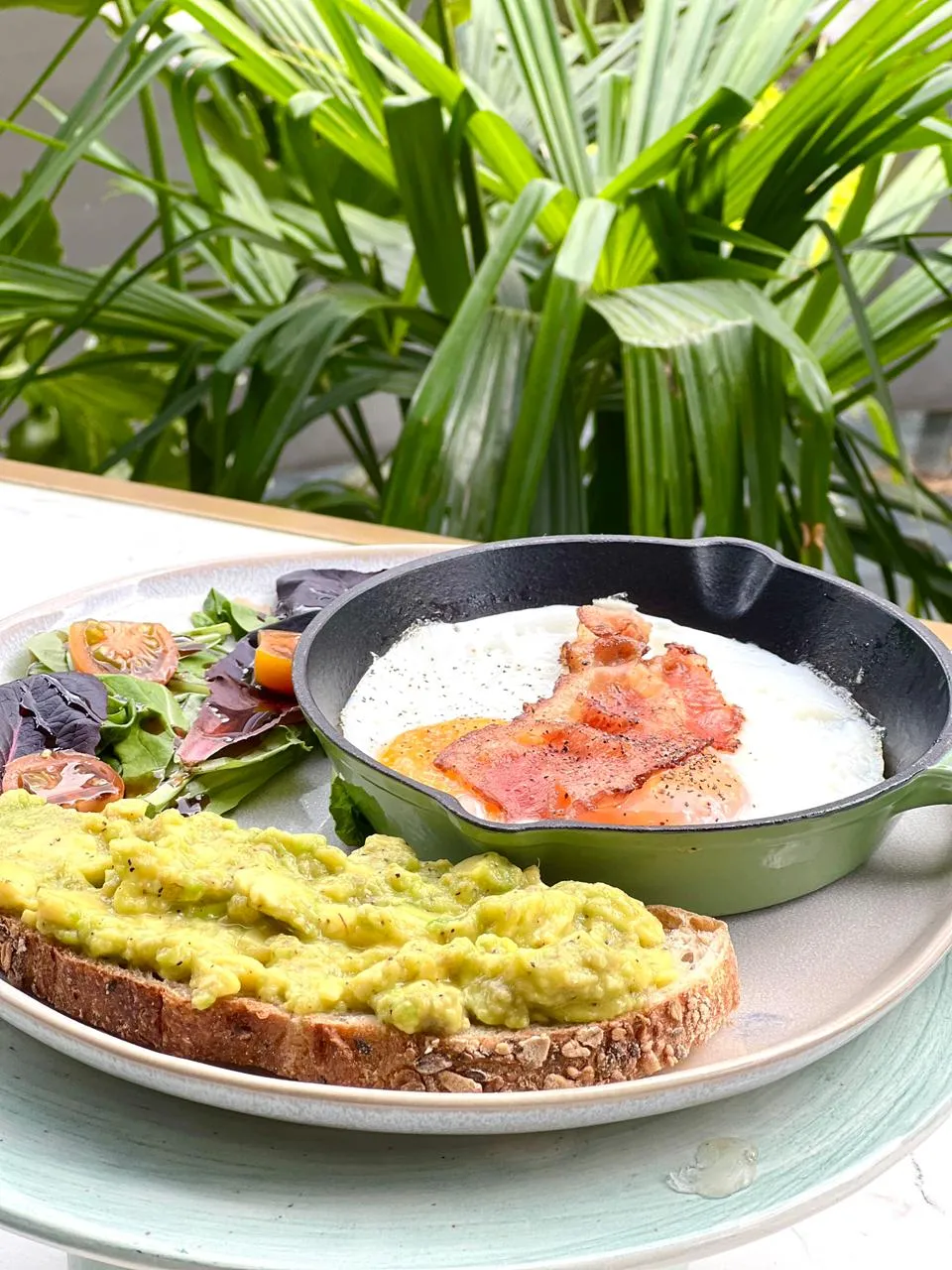 Tostada con aguacate, huevos fritos con tocineta en una sartén de hierro esmaltada verde y ensalada, con plantas de fondo