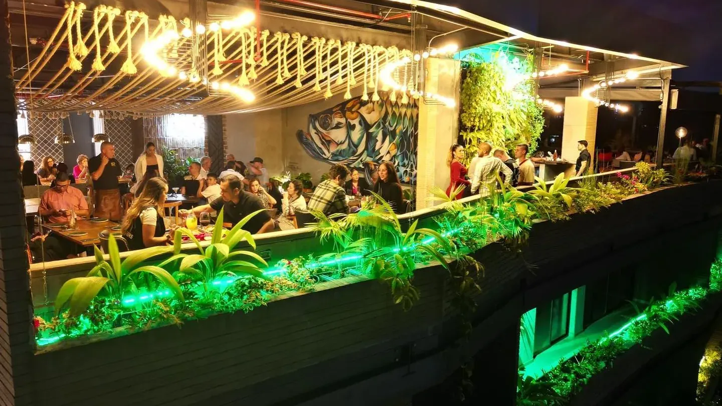 Terraza de Rocoto Rooftop de noche, en el quinto piso de Living by Armóniko, con techo de cuerdas y bombillos cálidos, mural de un pez, jardín vertical y comensales en mesas junto a jardineras iluminadas